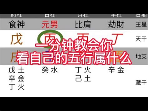 屬性怎麼算|生辰八字查詢，生辰八字五行查詢，五行屬性查詢